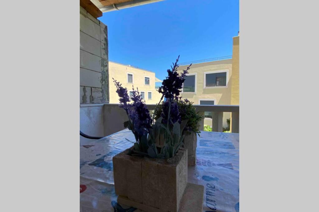 Apartmán Apartman Toma Slatine Exteriér fotografie
